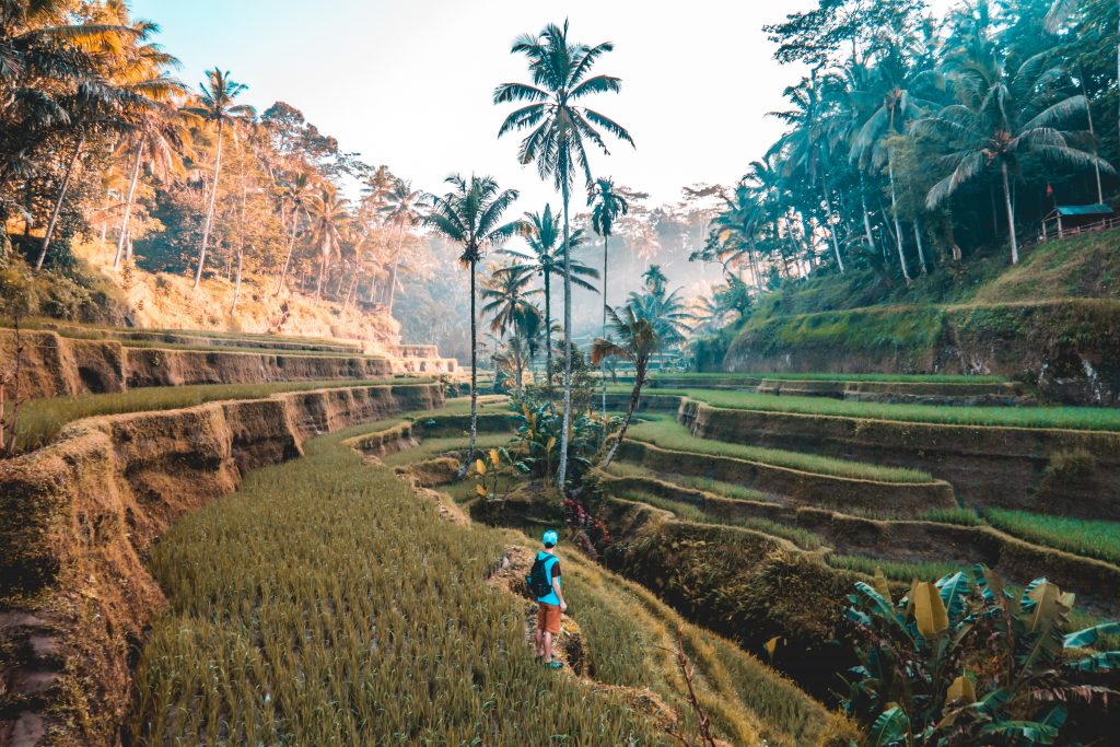 Tendencias de la industria del turismo futuro de Asia-Pacífico-1024x683