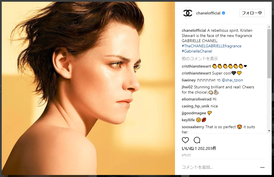 chanel-insta ソーシャルメディアを使ってブログ投稿を宣伝する方法:マーケティング担当者向けガイド