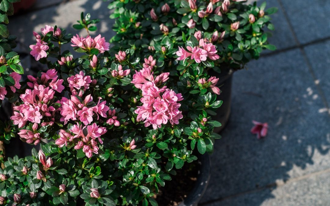 観光大国フランスに学ぼう